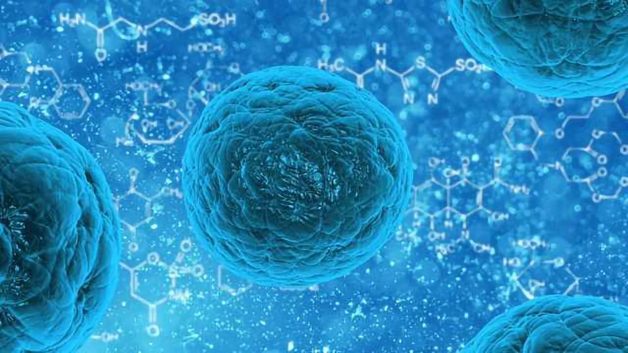 Adipocyte Development Spurred by Fracking Chemicals and Wastewater