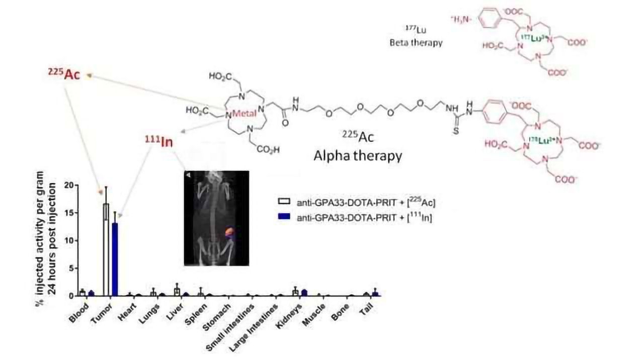 Nuclear Medicine Approach Shows Promise for Treating Cancerous Tumors