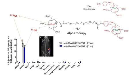 Nuclear Medicine Approach Shows Promise for Treating Cancerous Tumors