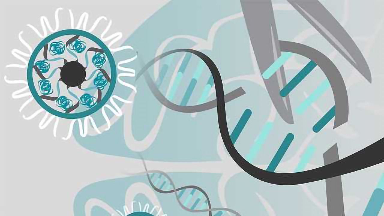CRISPR-Gold Cuts Down Autism Symptoms in Mice