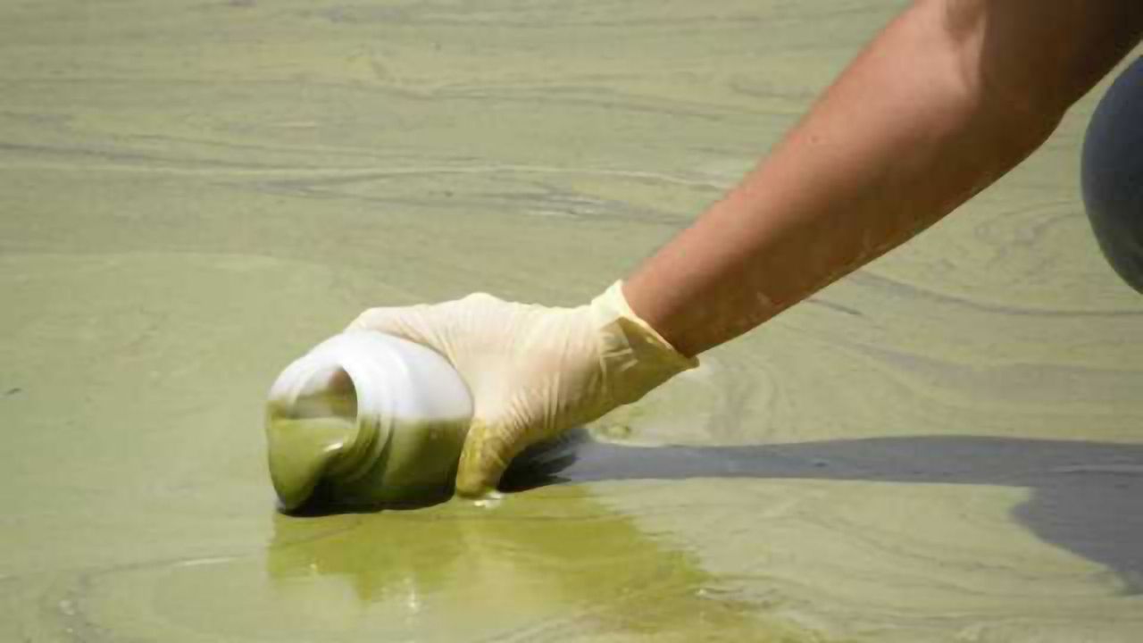 “Nanopesticides” Could Lead to More Toxic Algae Outbreaks