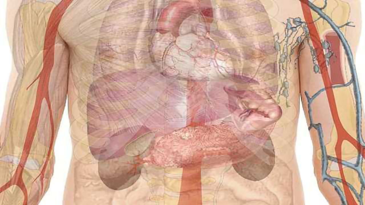 New Risk-Prediction Model Offers Hope for Earlier Detection of Pancreatic Cancer