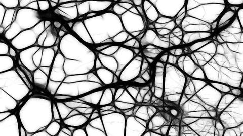 Brain's Immune Cells Strike With Surgical Precision, But Are Also Implicated in Alzheimer's