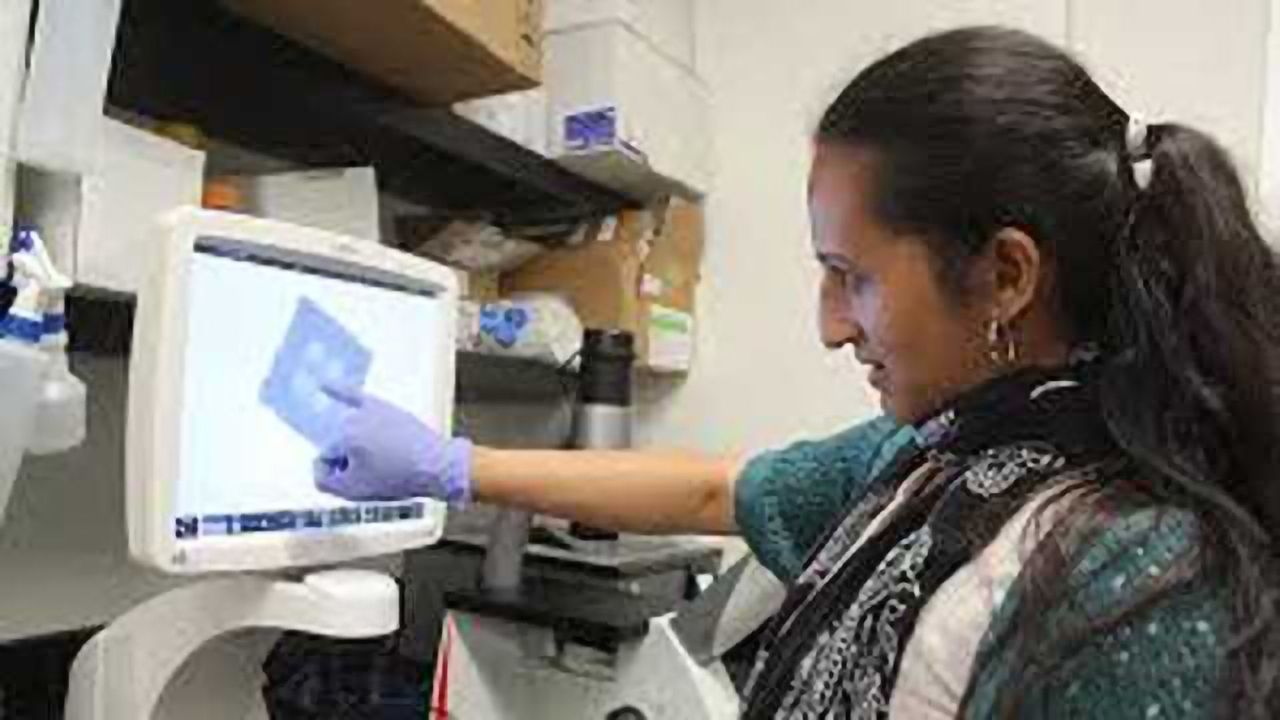 Prellis Biologics Achieves Unprecedented Speed and Resolution in 3D Printing of Human Tissue With Capillaries