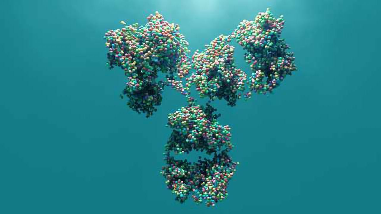 Antibody Engineering: Driving Therapeutic Discovery and Diagnostics Forward