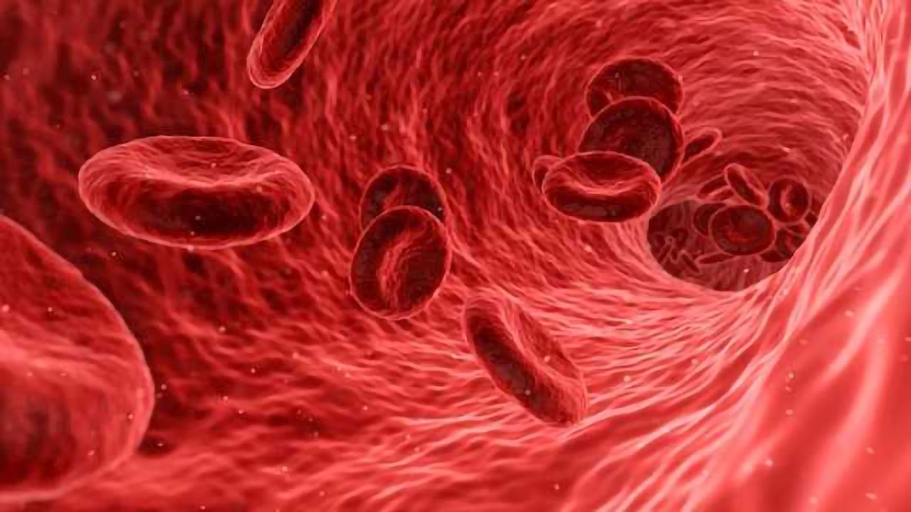 Inflammation Triggering Protein Identified