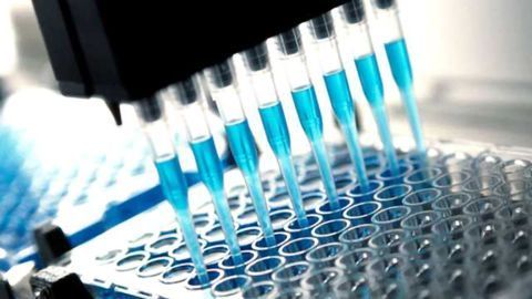 New Practical Guidelines Aid in Identifying Infectious Disease