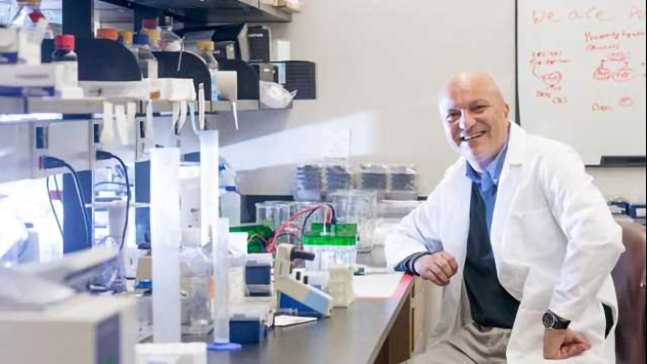 Connection Between Cancer and Aging