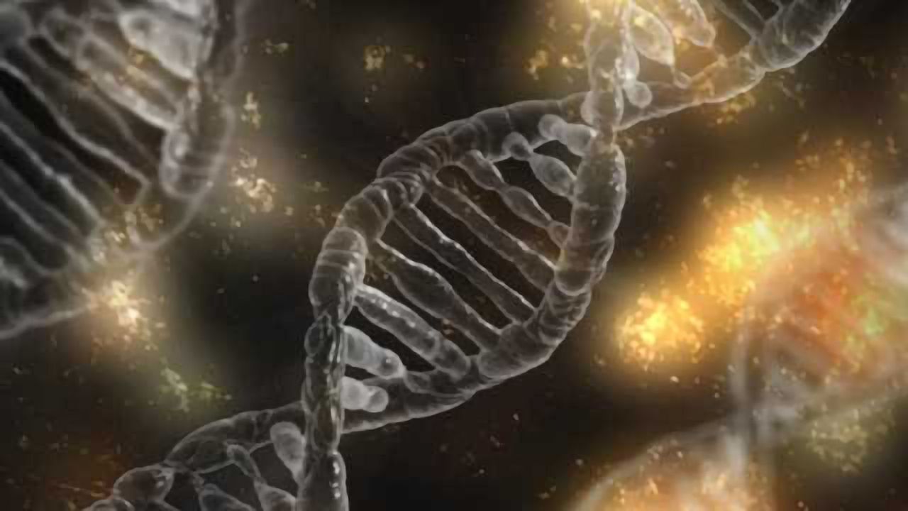 How "Cellular Butlers" Get Our DNA in Shape