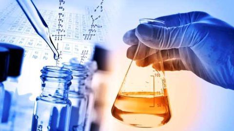 Advanced In Vitro Methodologies Demonstrate New Paradigms for Toxicological Testing