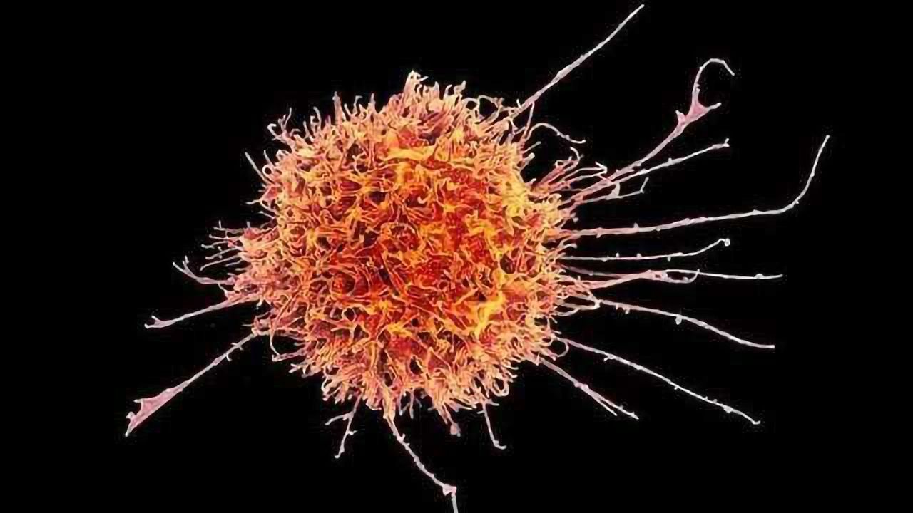 A New Player Enters the CAR-T Immunotherapy Arena