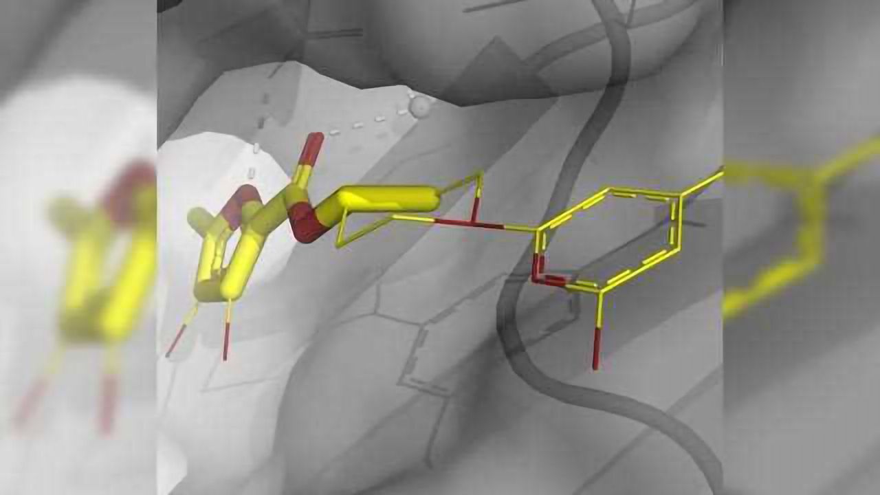 Using Fragment-Based Approaches to Discover New Antibiotics