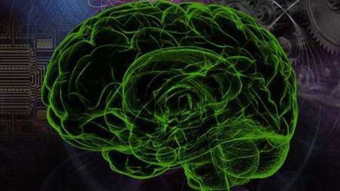 Scientists Can Predict Intelligence from Brain Scans