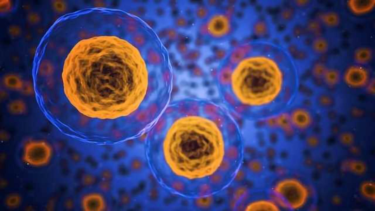 Decoding Parasite Invasion of Host Cells