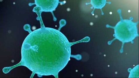 Virus That Might Actually Boost Our Immune System