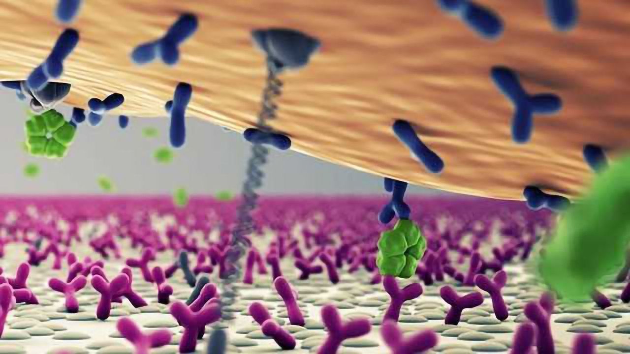 Sensor Technology Enables Super-Sensitive Live Monitoring of Human Biomolecules