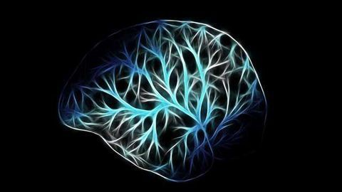 Scientists Identify Layout of Retinal Neurons
