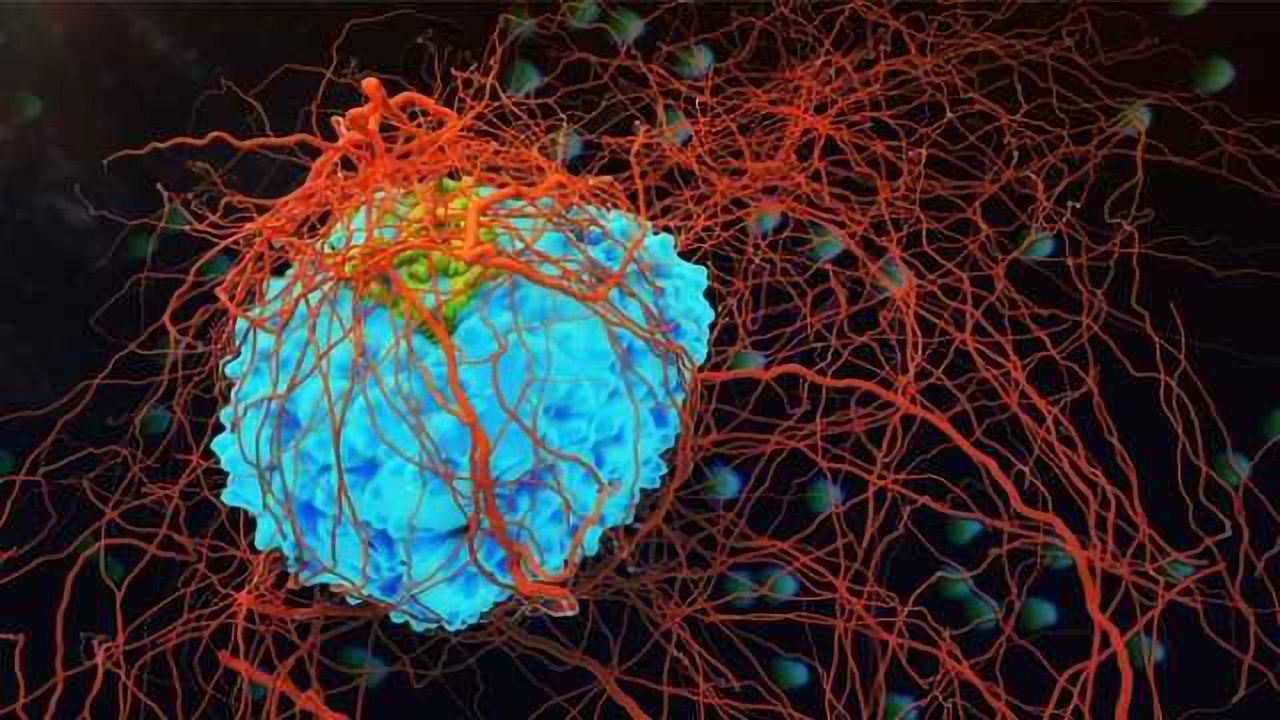 Targeting Cancer’s Metabolic Vulnerability with IACS-10759, a Small Molecule Drug