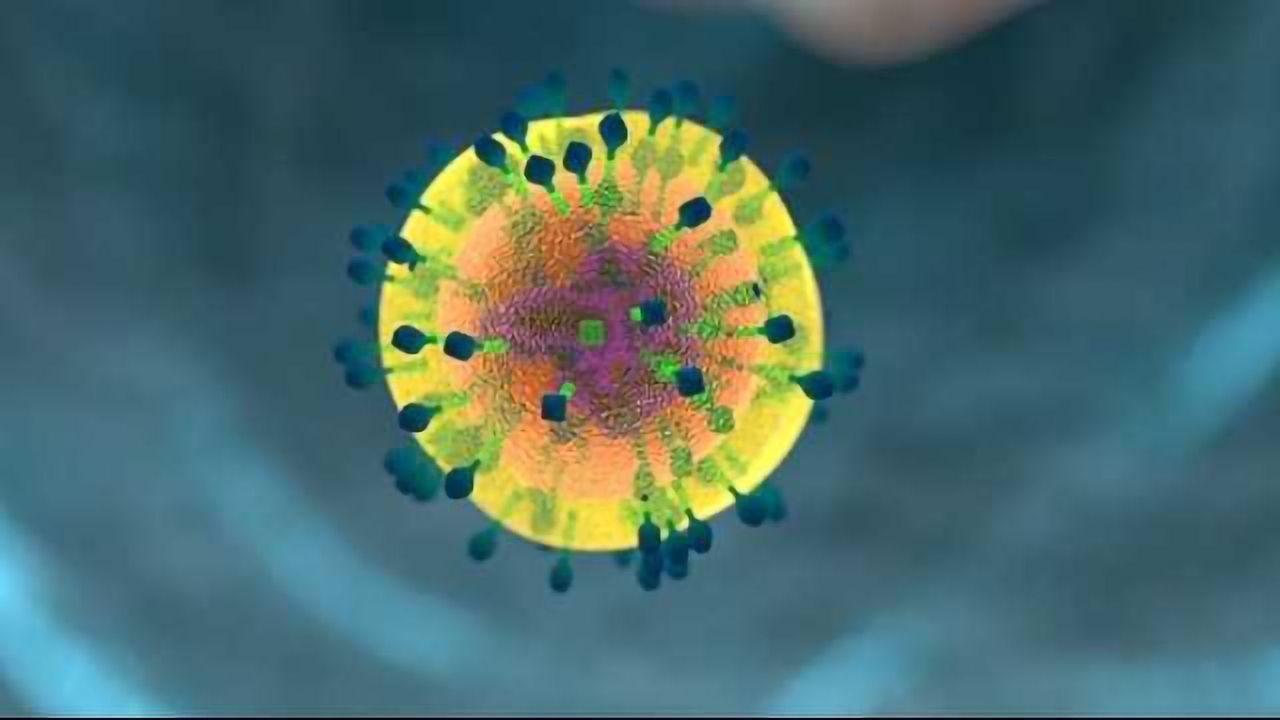 Watching What Happens When the Immune System Goes Wrong