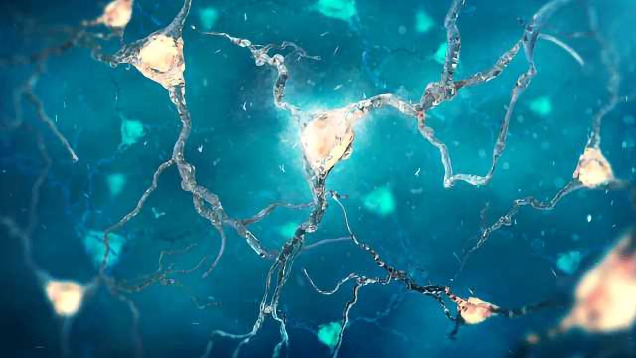 New Stem Cell-Based Model Mimics Mechanisms of Alzheimer's Disease