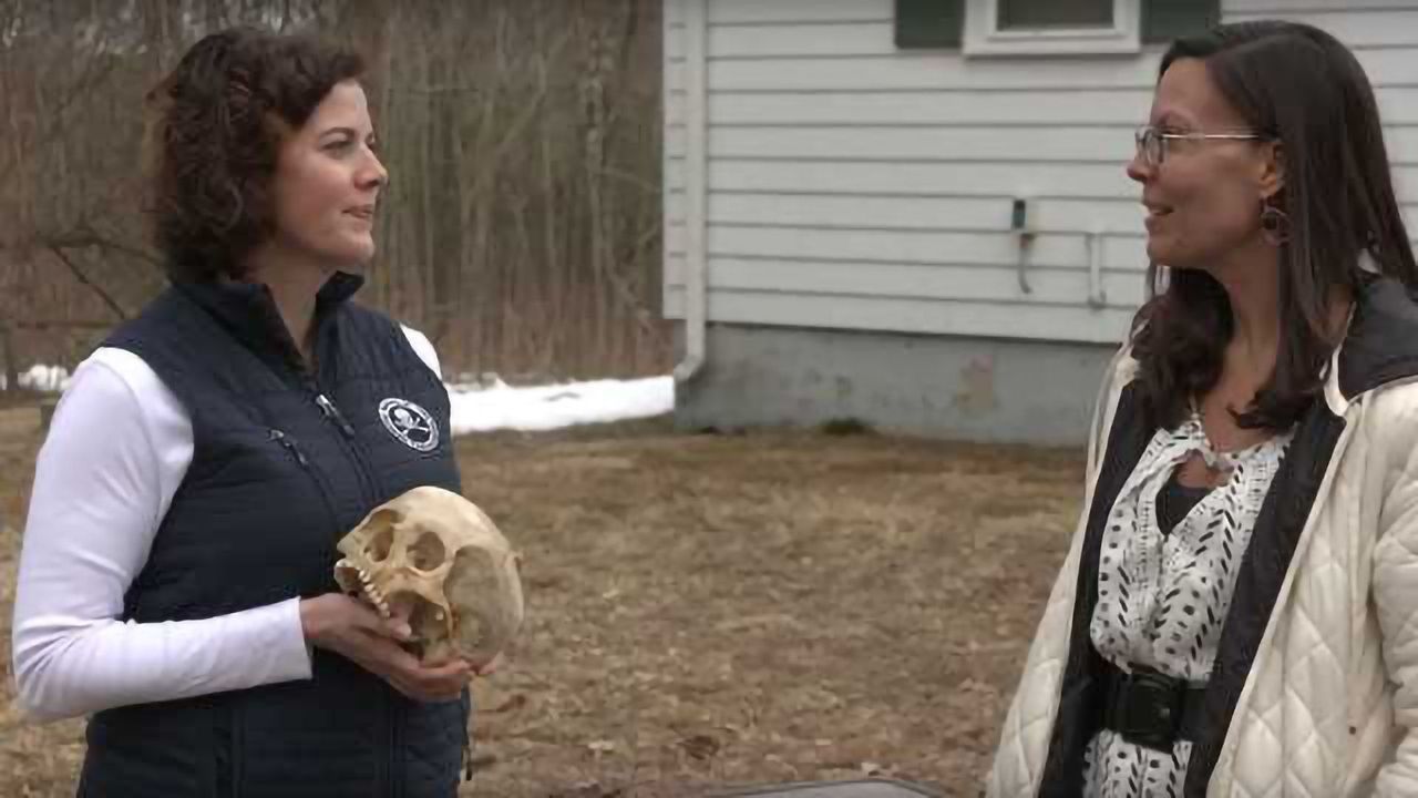 Can Bones Tell Us About Drug Use? How Boston Univ. Tests Solid Samples by 2DLC - Behind the Science