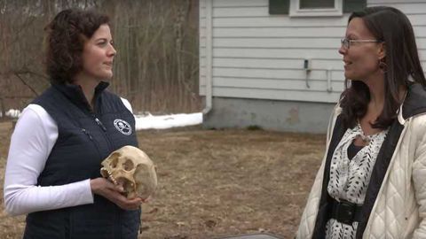 Can Bones Tell Us About Drug Use? How Boston Univ. Tests Solid Samples by 2DLC - Behind the Science