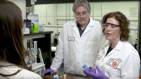 Exploring Multiple Dimensions in the Forensics of “Space Candy” With Boston Uni. - Behind the Science