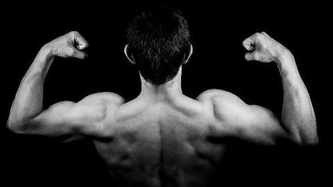 Muscle Stem Cells Derived from Teratomas