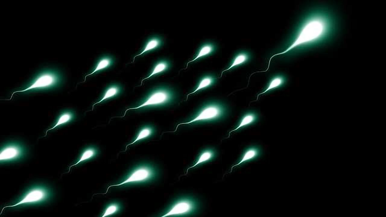 Diet Rich in Nuts Improves Sperm