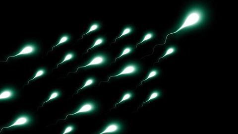Diet Rich in Nuts Improves Sperm