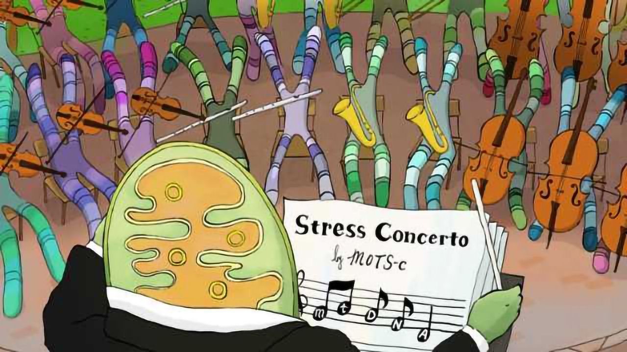 Mitochondria Flex Their DNA to Protect the Cell Against Stress