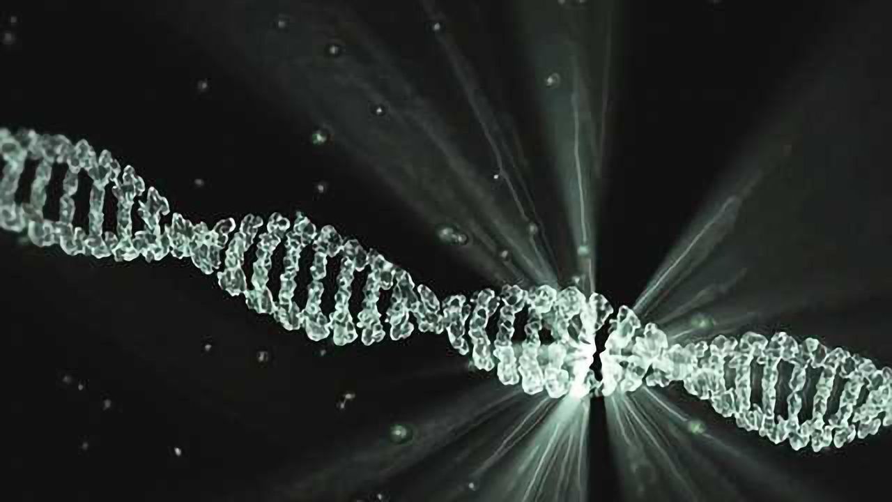 Whole Genome Sequencing is Contributing to Food Safety