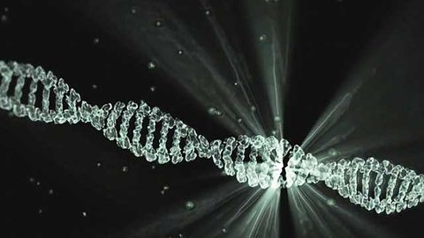 Whole Genome Sequencing is Contributing to Food Safety