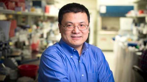 Protein Complex that Shapes the Destiny of T Cells