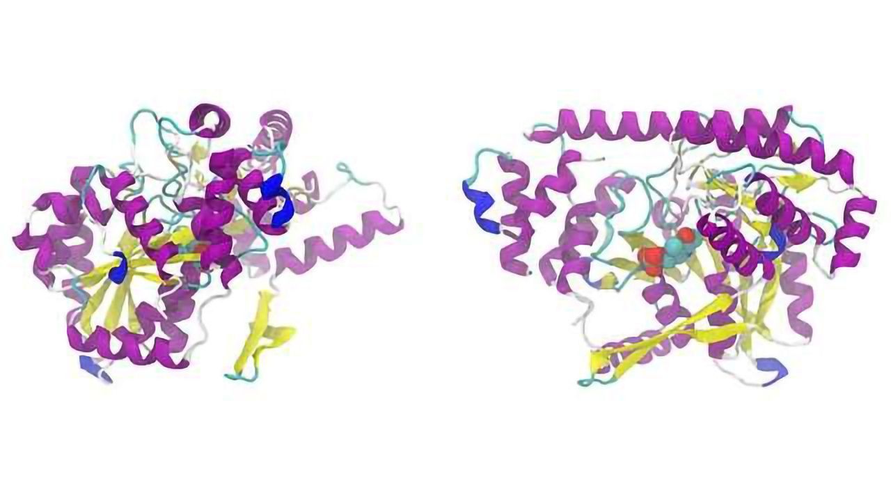 Protein Metrics Expands Presence in China