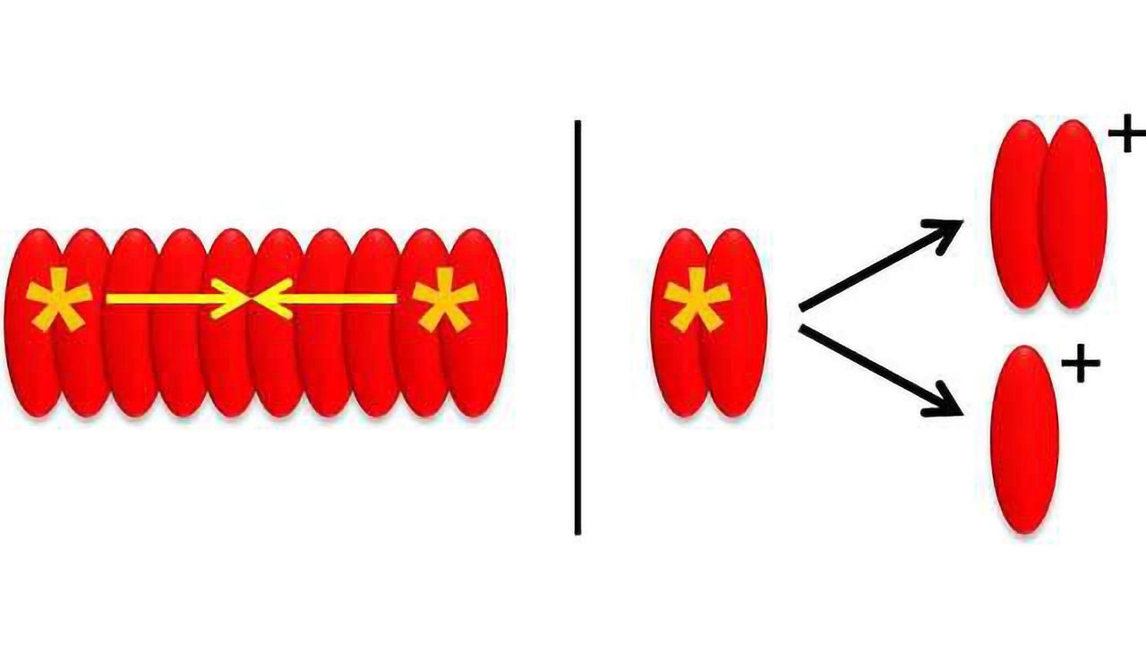 Coherent 2D Spectroscopy Advances