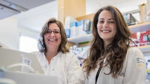 Misbehaving “Killer” Cells Accelerate Autoimmune Disease
