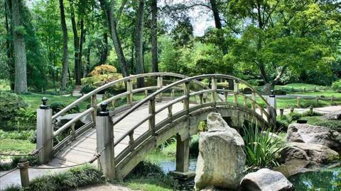 It’s Official, Spending Time Outside is Good for You