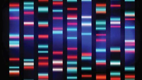 More Tools and More Time: An Easier Future for Bioinformaticians?