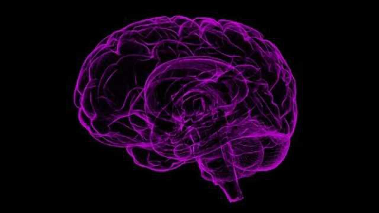 Antibody Drug May Be Effective Against Broader Class of Brain Cancers