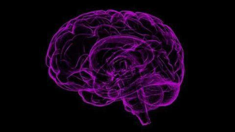 Antibody Drug May Be Effective Against Broader Class of Brain Cancers