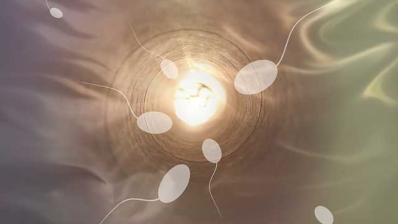 Environmental Conditions Impact Offspring Health