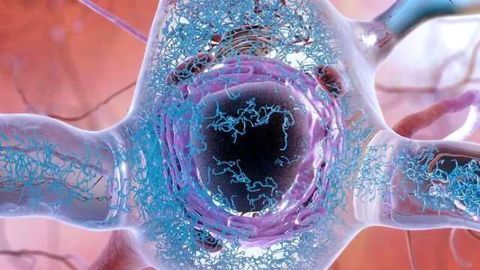 Scientists ID Genesis of Toxic Proteins Behind Alzheimer's Disease