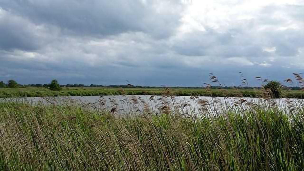 Stormwater Ponds Not a Significant Source of Climate-Warming N<sub>2</sub>O