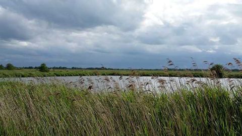Stormwater Ponds Not a Significant Source of Climate-Warming N<sub>2</sub>O