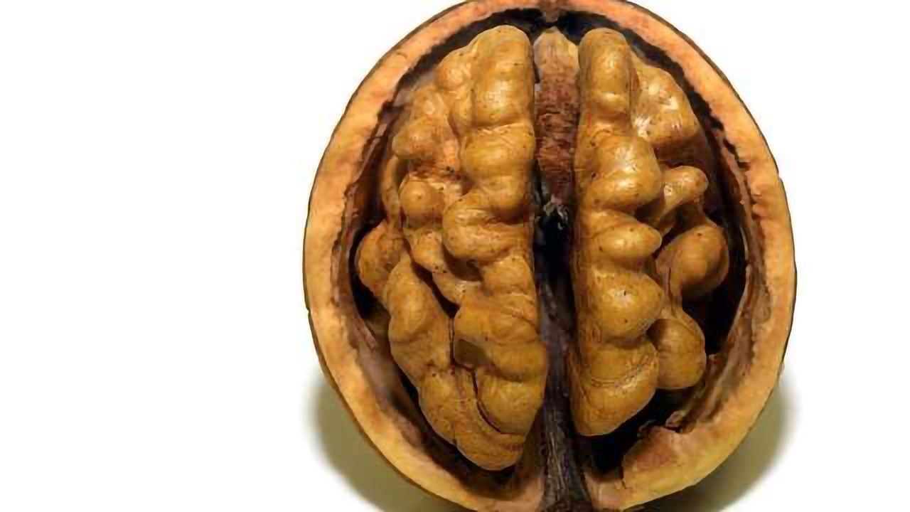 Food-Based Treatment For Neurodegeneration