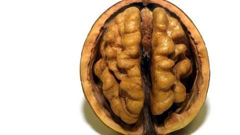 Food-Based Treatment For Neurodegeneration