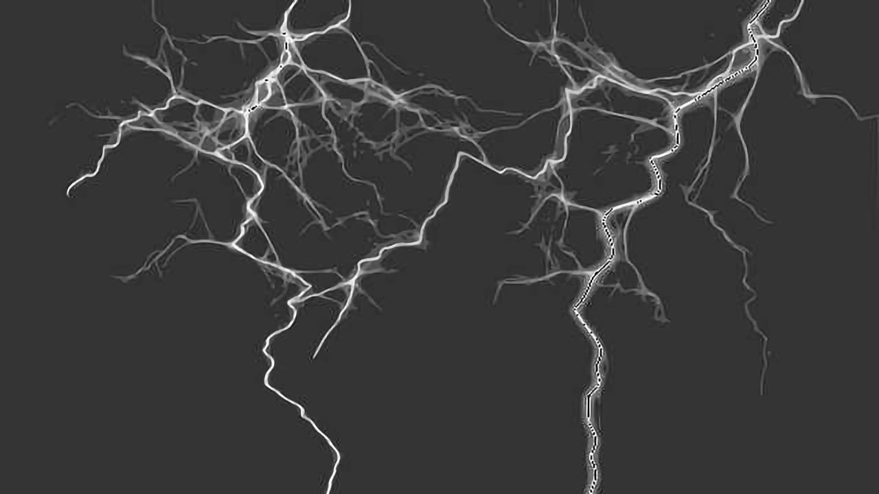 The Secret of Perception: Brain's noise-cancellation mechanism