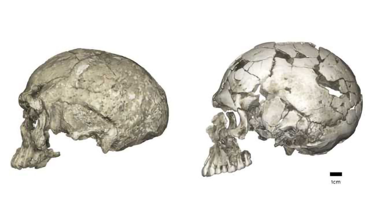 Out of Africa? Human Evolution Isn't as Simple as That