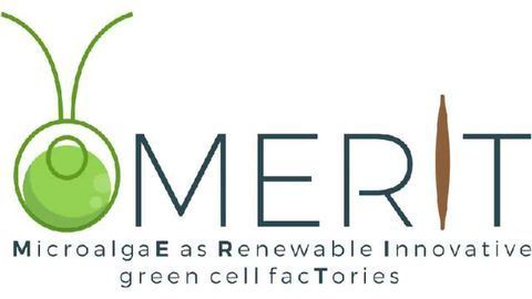 The MERIT of Working with Microalgae